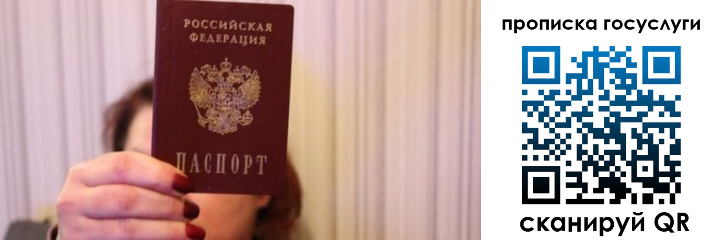 где прописаться в Алексине